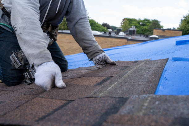Gutter Installation and Roofing in Duenweg, MO
